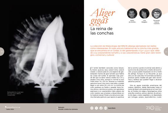 Portada del artículo