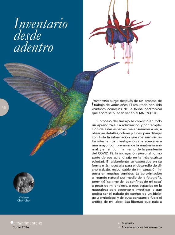 Inventario  desde adentro