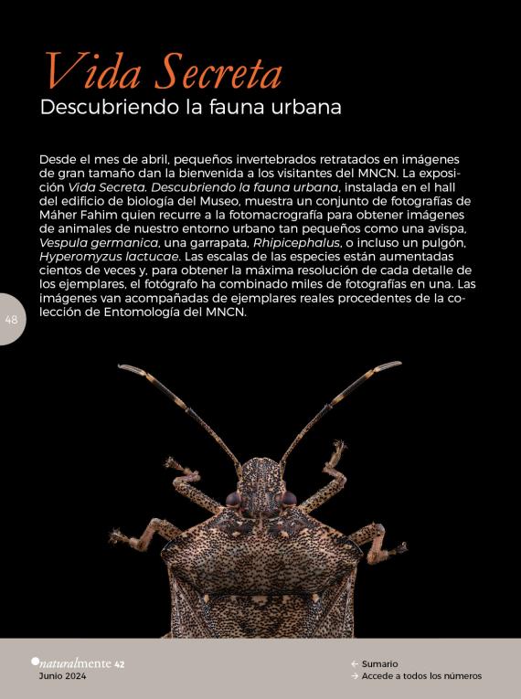 Vida Secreta
