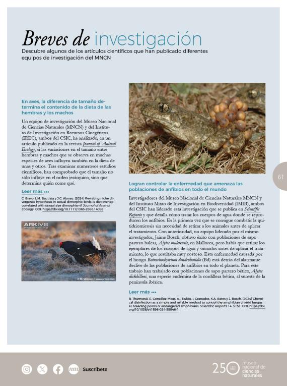 Breves nm42