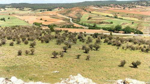 Ejemplo de paisaje rural que refleja el mosaico de cultivos en el Nordeste de Segovia/ Zape fotografo