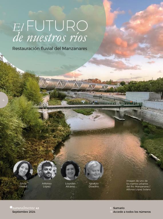 Portada del artículo