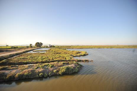 Imagen del Delta del Ebro que muestra la orilla de una laguna con una casa al fondo