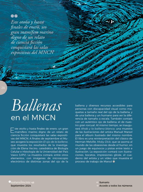 Ballenas en el MNCN
