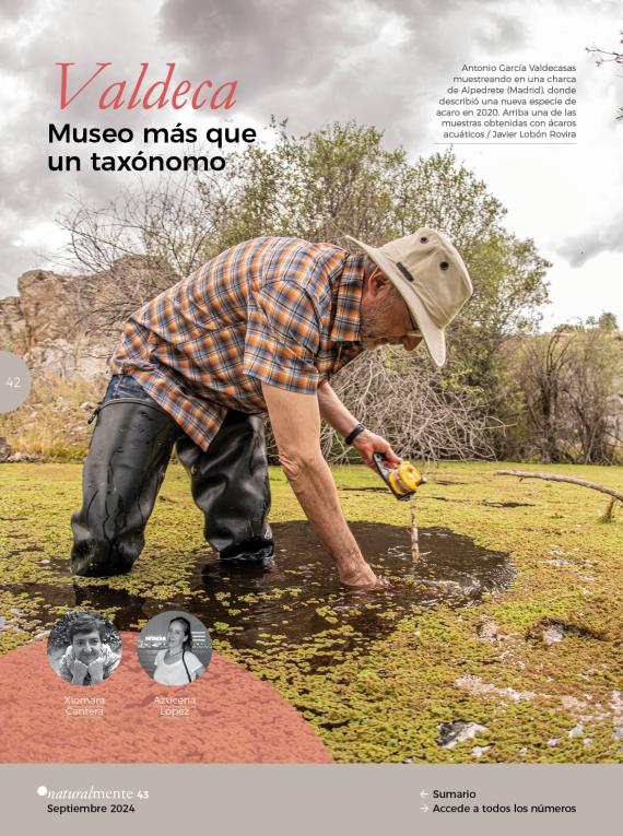 Valdeca: museo más que un taxónomo