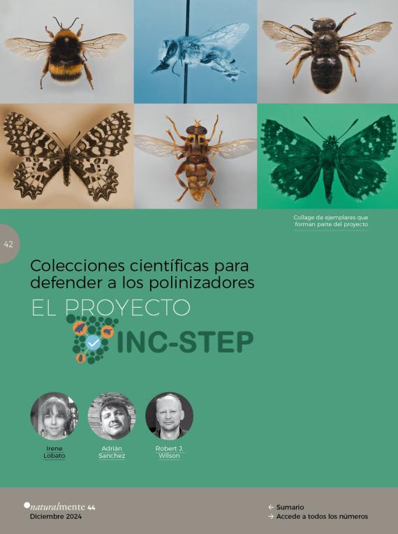 Colecciones científicas para defender a los polinizadores. El Proyecto INC-STEP
