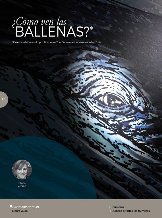 ¿Cómo ven las ballenas?