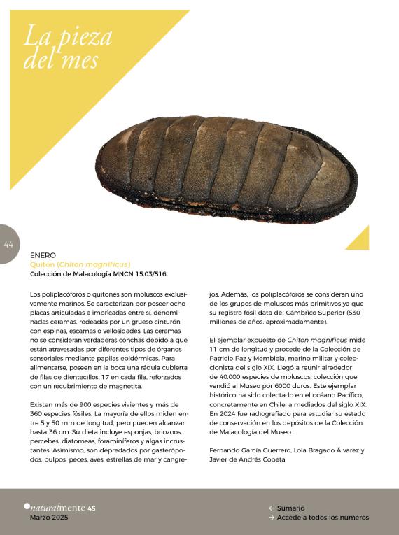 La Pieza del mes NaturalMente 45
