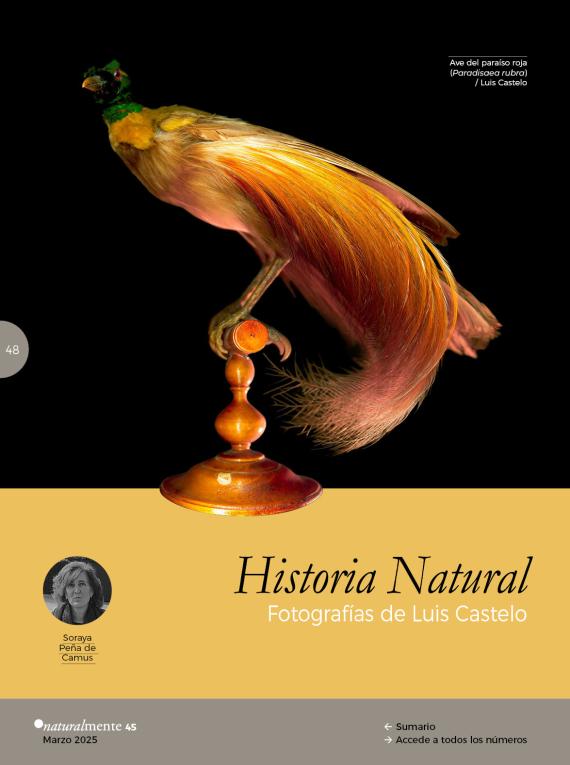 Historia Natural. Fotografías de Luis Castelo