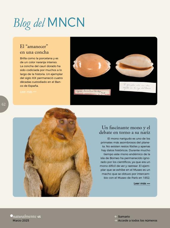 Blog del MNCN