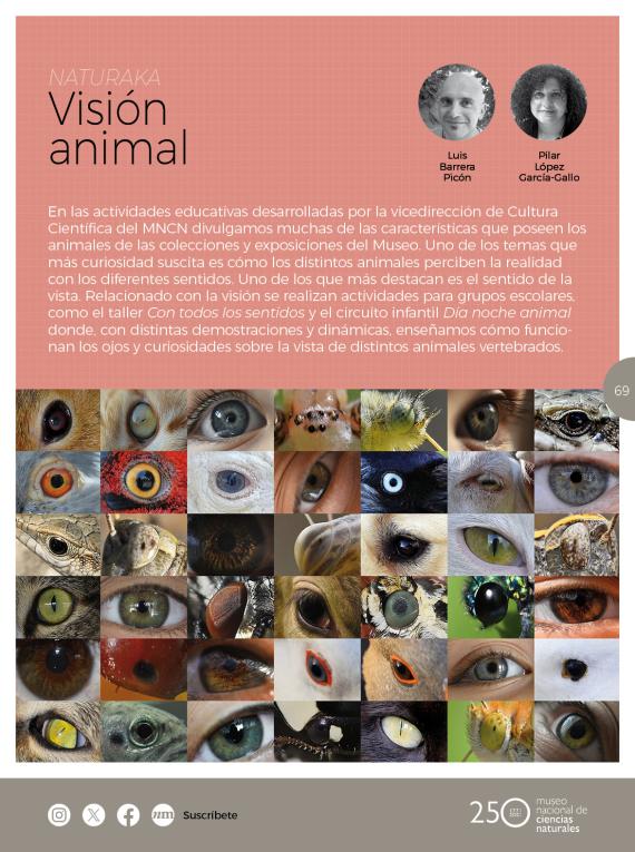 Naturaka. Visión animal