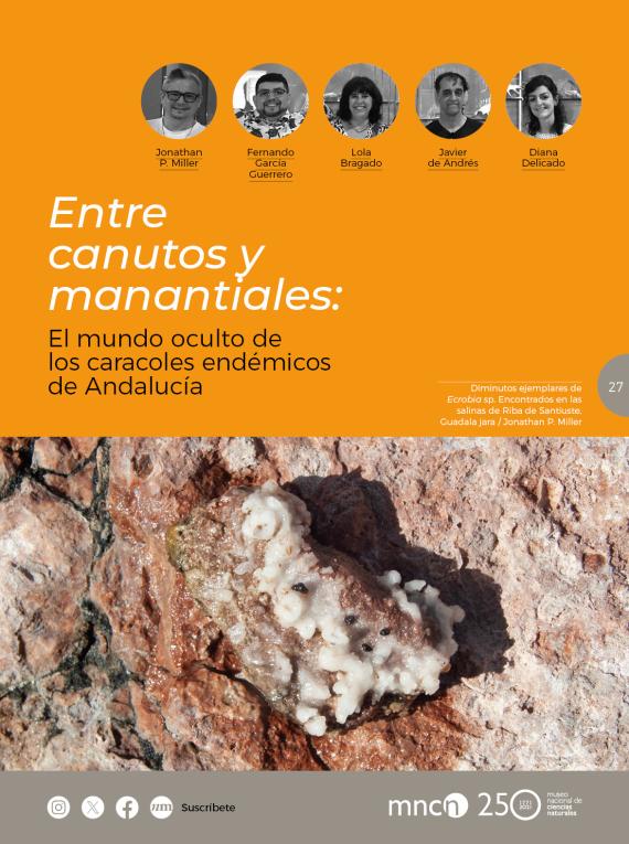 Entre canutos y manantiales: El mundo oculto de los caracoles endémicos de Andalucía