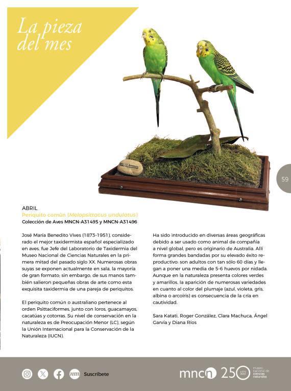 La Pieza del Mes en NaturalMente 46