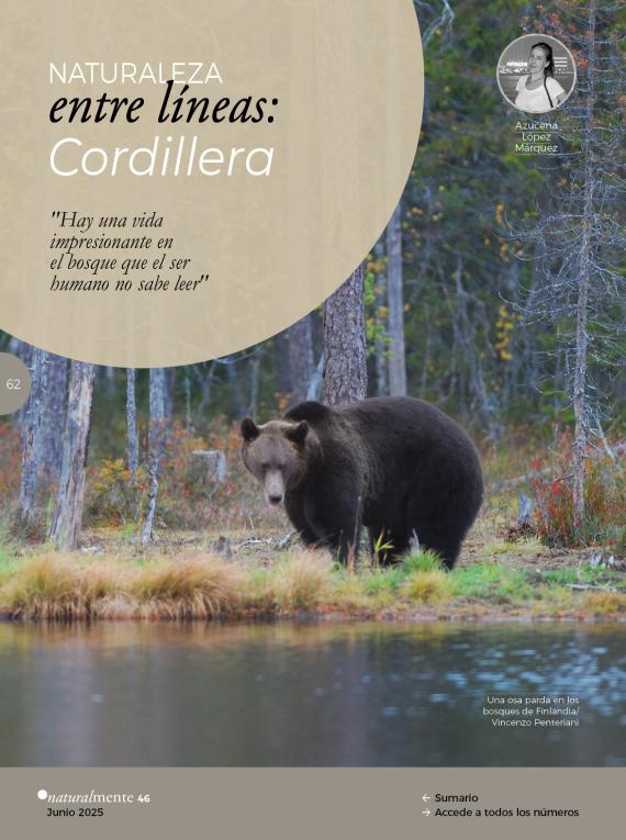 Naturaleza entre líneas: Cordillera