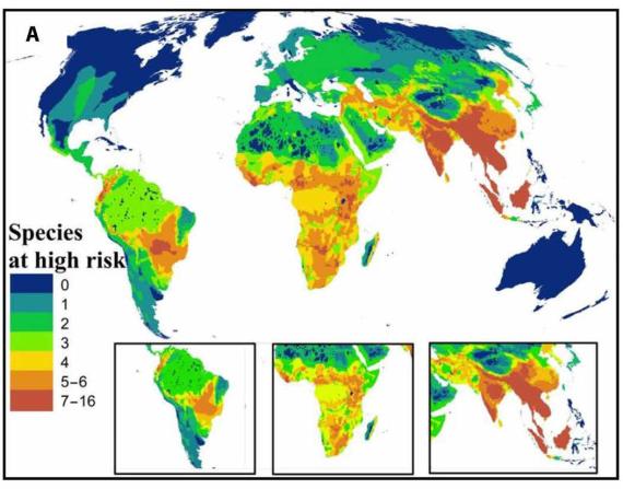 Mapa de distribución mundial de los grandes carnívoros. En rojo aparecen marcadas las zonas donde el riesgo de supervivencia es mayor. 