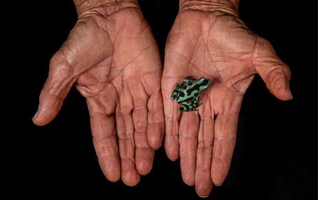 De la mano con la conservación / JLR