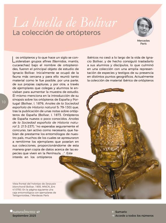 La huella de Bolívar. La colección de ortópteros