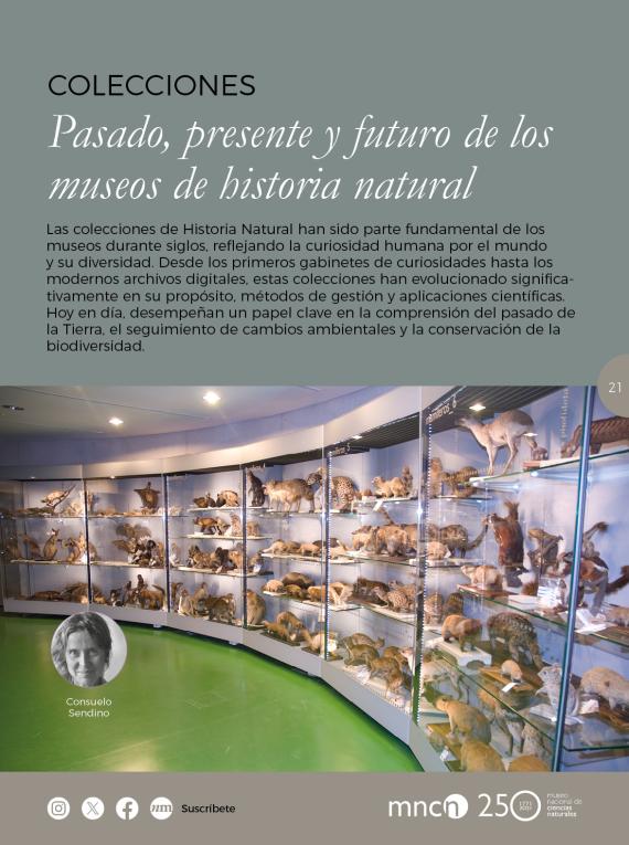 Colecciones. Pasado, presente y futuro de los museos de historia natural