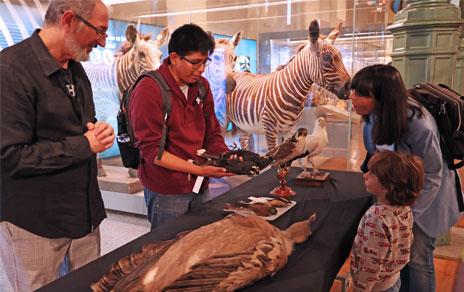 Conservadores del MNCN mostrando ejemplares al público