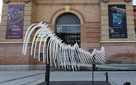 El esqueleto del cambio climático