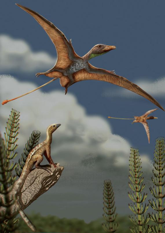 Reconstrucción de un paisaje del Triásico Superior de hace aproximadamente 215 millones de años/ Matheus Fernandes