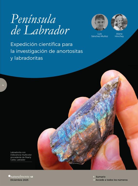 Labradorita con iridiscencia multicolor procedente de Pearly Gates, Labrador