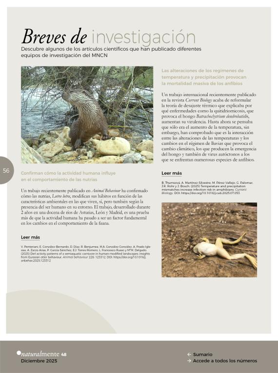 Breves de investigación