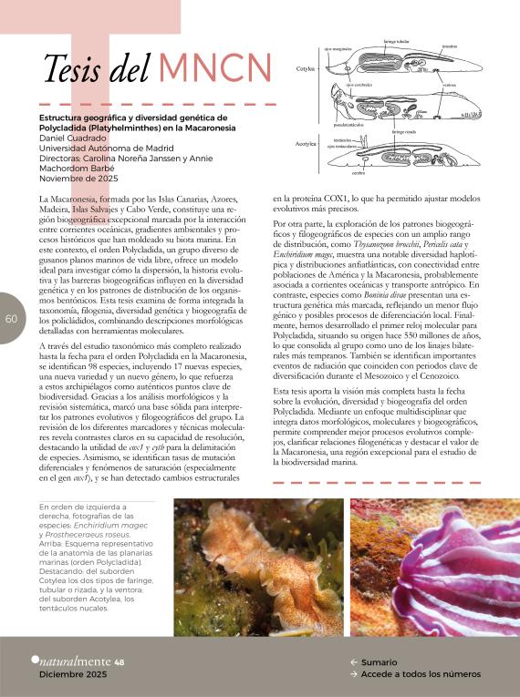 Tesis del MNCN