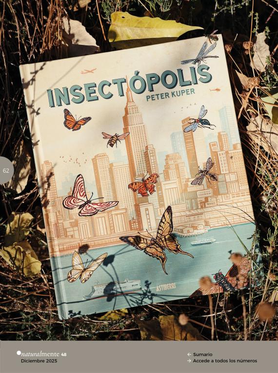 Insectópolis