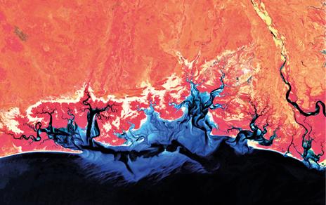 Costa de Mozambique con filtro "falso color" tomada desde Sentinel-2 / Sen2Coast