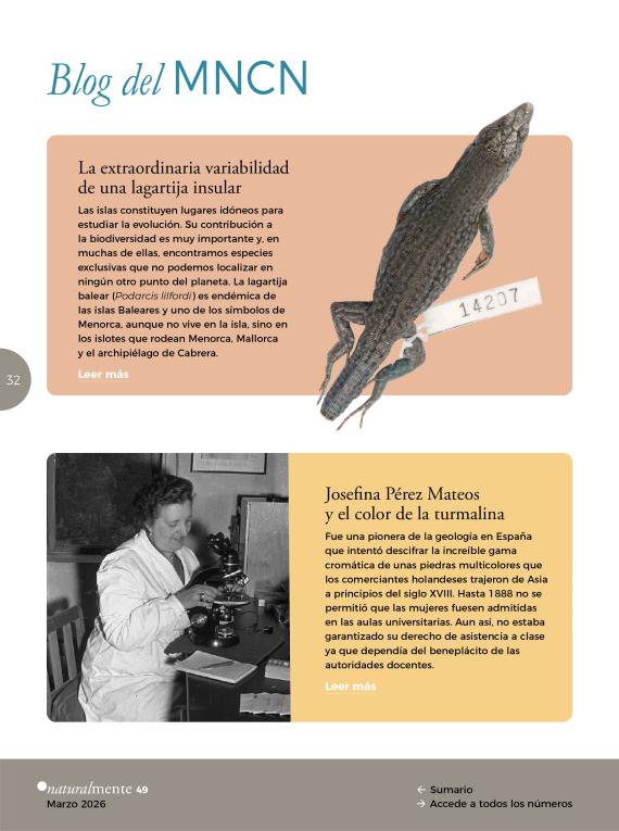 Blog del MNCN en NaturalMente 49