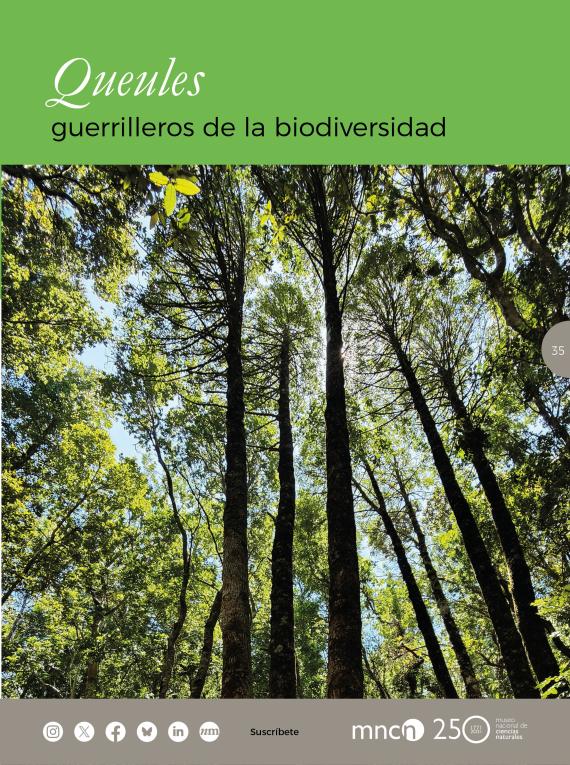 Queules: guerrilleros de la biodiversidad
