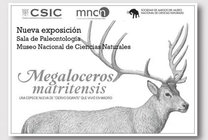 Megaloceros