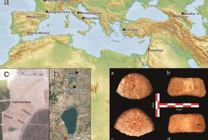 Detalle del fósil encontrado superpuesto sobre el mapa de la zona de Levante