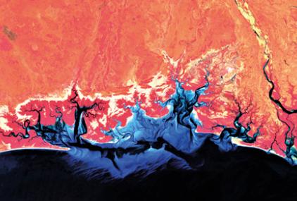 Costa de Mozambique con filtro "falso color" tomada desde Sentinel-2 / Sen2Coast