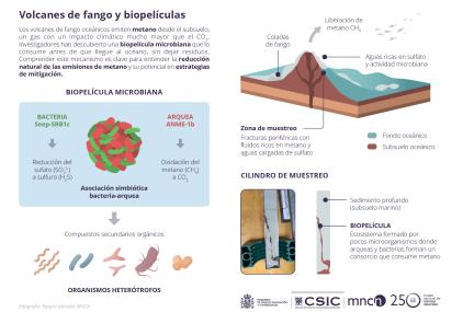Infografía que describe cómo la biopelicula descubierta  consume metano/ Raquel Morales 